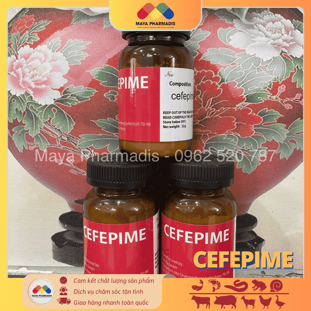 CEFEPIME 50g - 150cc – GIẢI PHÁP KHÁNG SINH THẾ HỆ - Ảnh 2