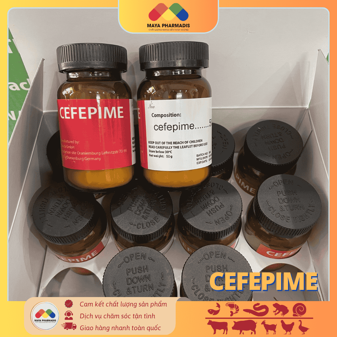 CEFEPIME 50g - 150cc – GIẢI PHÁP KHÁNG SINH THẾ HỆ - Ảnh 3