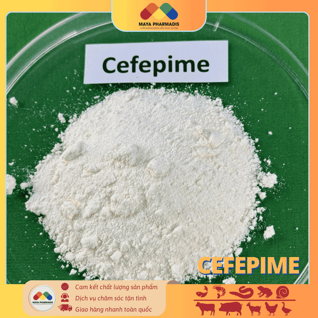 CEFEPIME – GIẢI PHÁP KHÁNG SINH THẾ HỆ - Ảnh 3