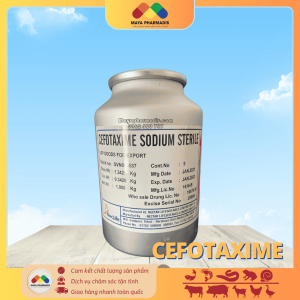 CEFOTAXIME