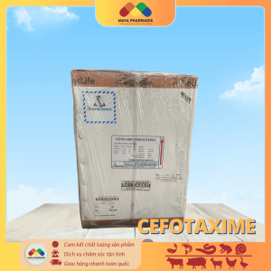 CEFOTAXIME