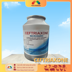 CEFTRIAXONE