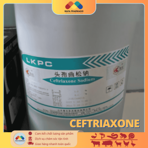 CEFTRIAXONE
