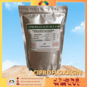 CIPROFLOXACIN