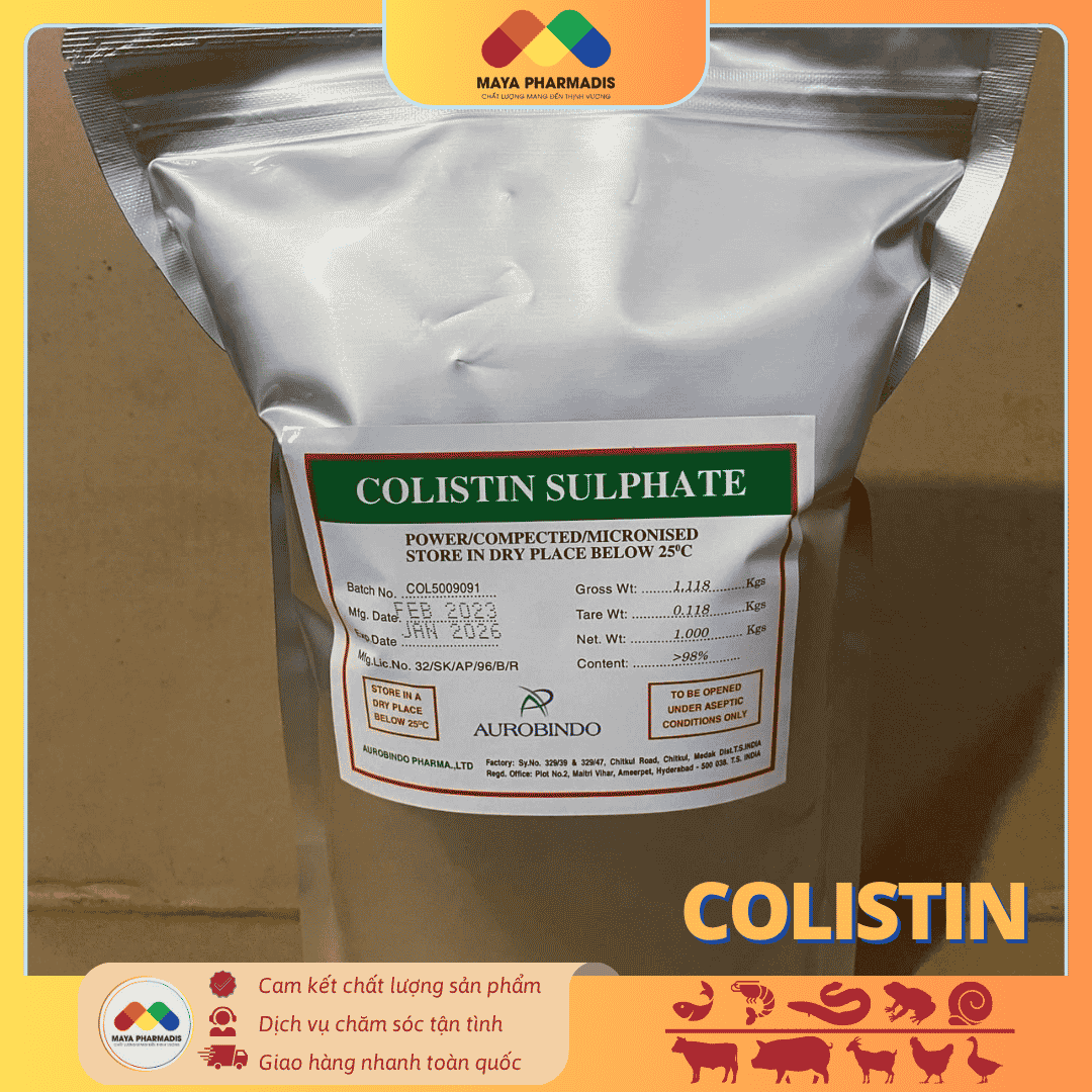 COLISTIN - KHÁNG SINH GRAM ÂM CỰC MẠNH - Ảnh 3