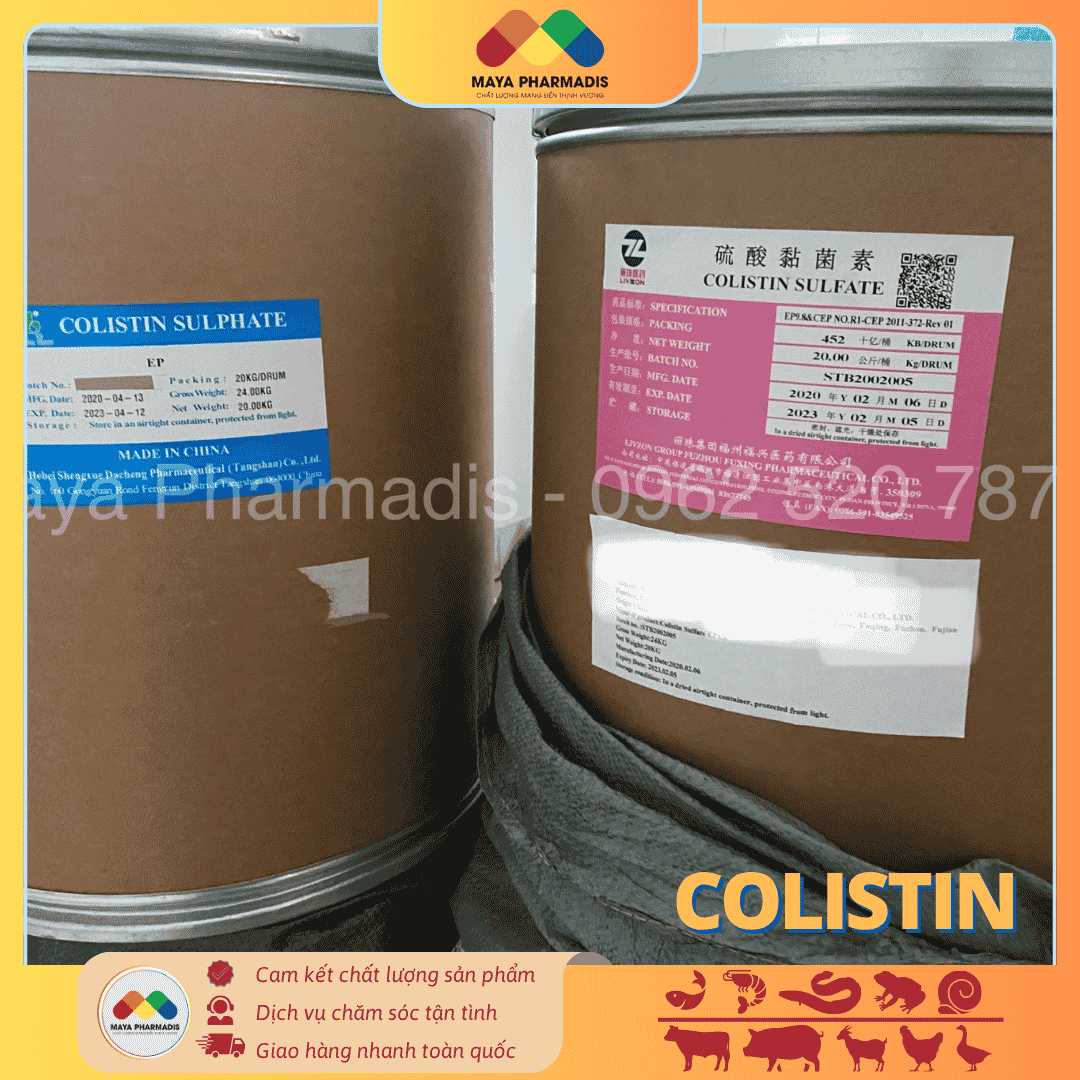 COLISTIN NGUYÊN LIỆU - KHÁNG SINH GRAM ÂM CỰC MẠNH - Ảnh 3