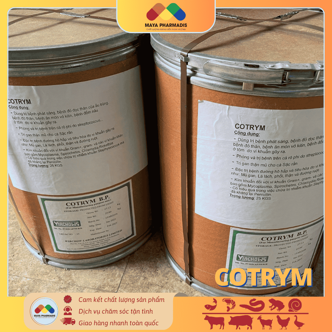 COTRYM NGUYÊN LIỆU – KHÁNG SINH THÚ Y THUỶ SẢN PHỔ RỘNG - Ảnh 3
