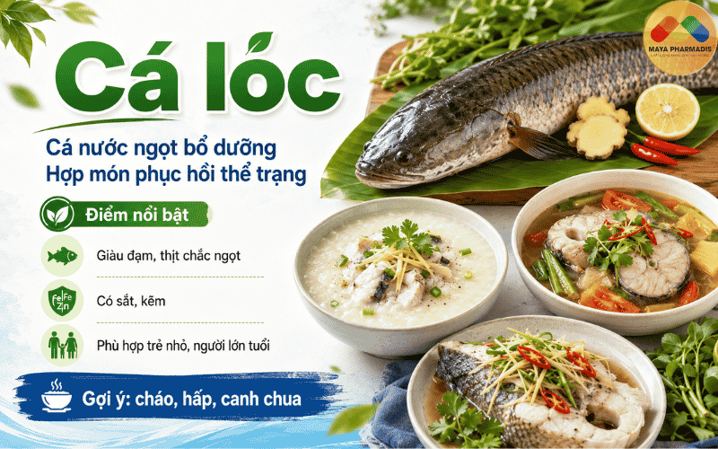 Cá lóc – cá nước ngọt bổ dưỡng, hợp món phục hồi thể trạng