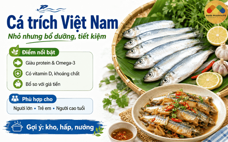 Cá trích Việt Nam – nhỏ nhưng bổ dưỡng và tiết kiệm