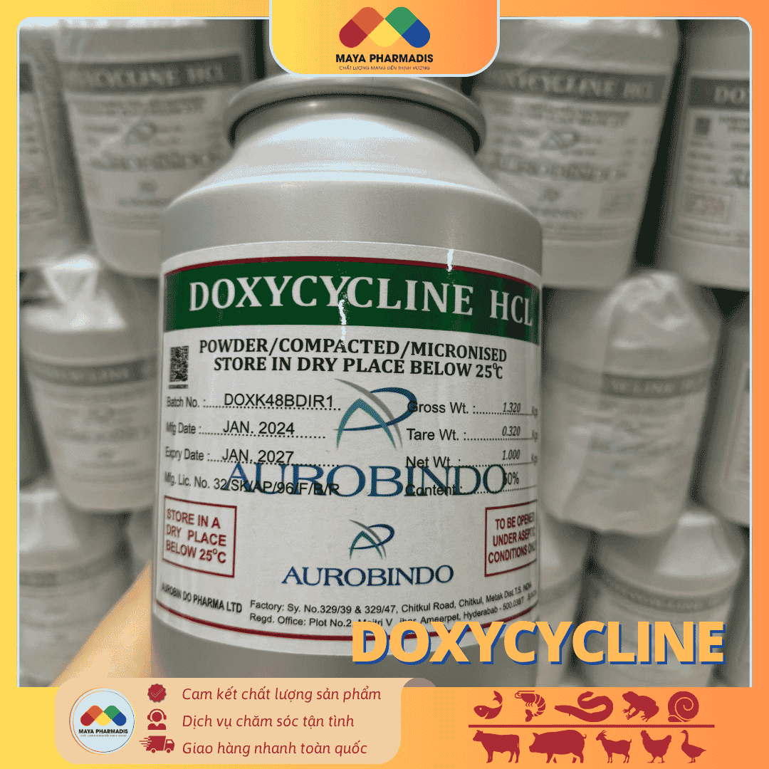 DOXYCYCLINE - GIẢI PHÁP KIỂM SOÁT NHIỄM KHUẨN - Ảnh 3