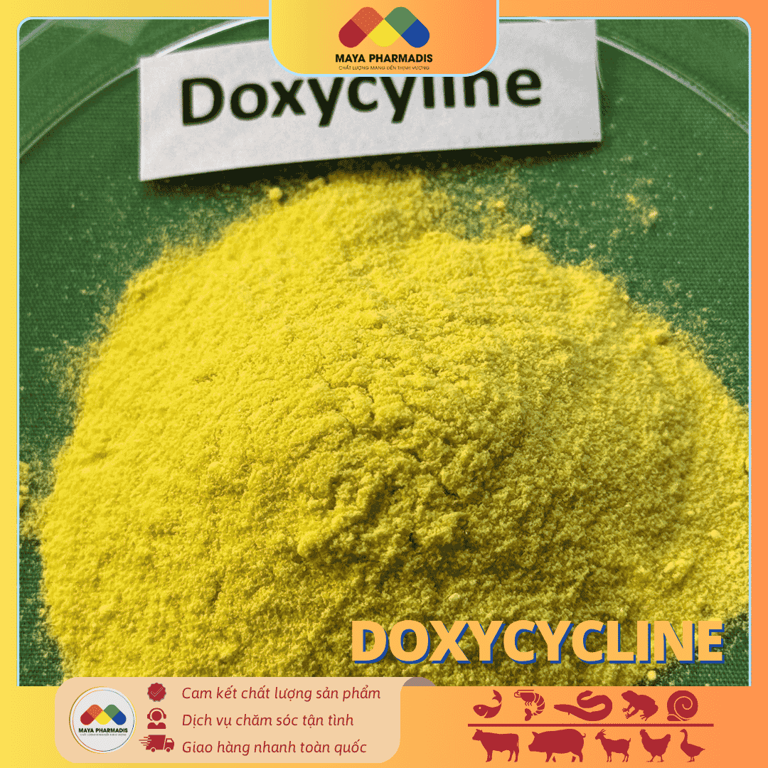 DOXYCYCLINE NGUYÊN LIỆU - GIẢI PHÁP KIỂM SOÁT NHIỄM KHUẨN - Ảnh 2