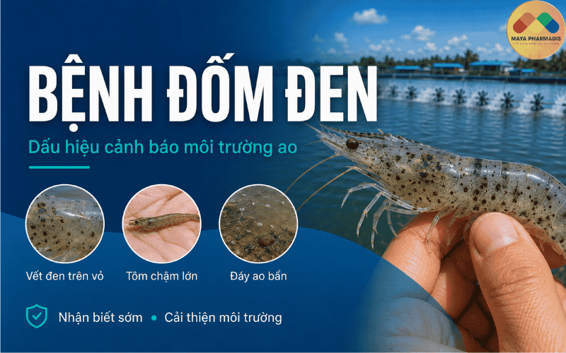 Bệnh đốm đen