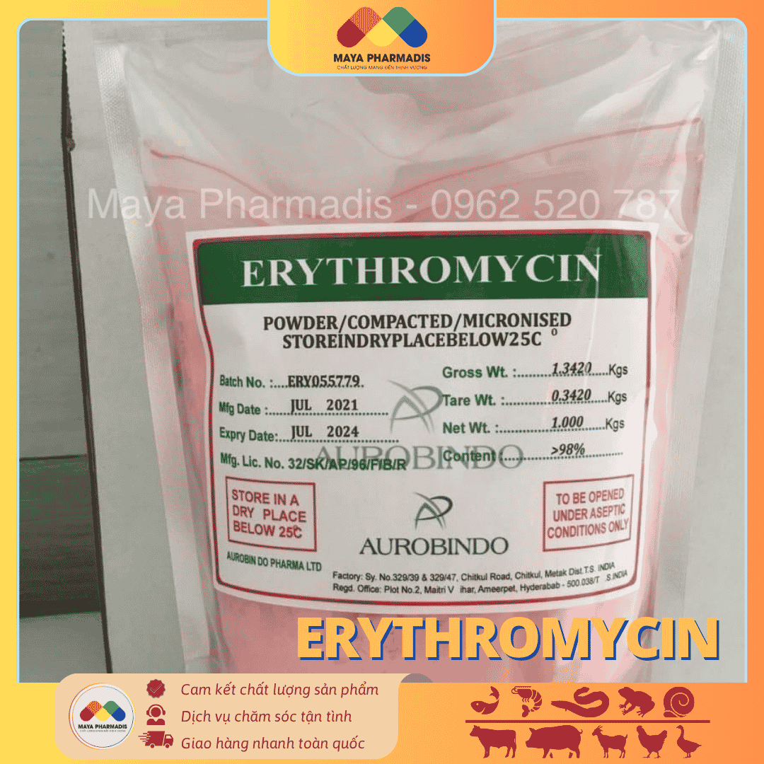 ERYTHROMYCIN