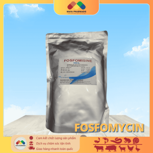 FOSFOMYCIN