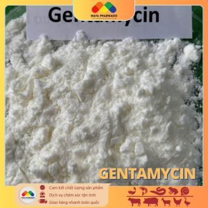 GENTAMYCIN