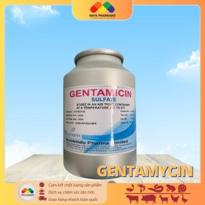GENTAMICIN