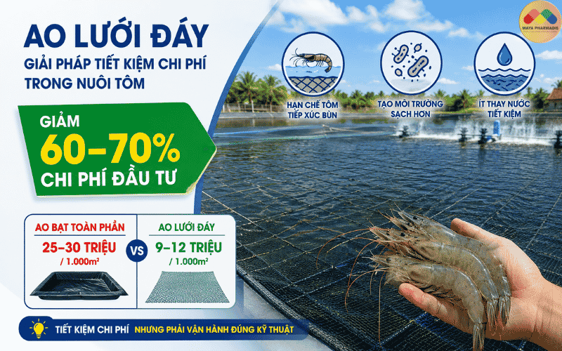 Vì sao mô hình này giúp giảm 60–70% chi phí?