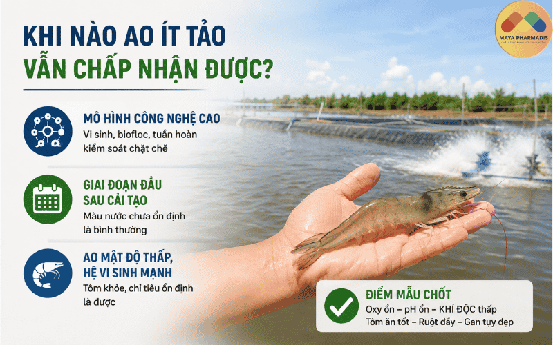 Khi nào ao ít tảo vẫn có thể chấp nhận được?