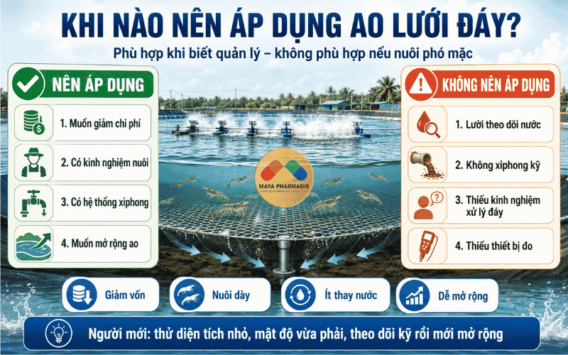Khi nào nên áp dụng ao lưới đáy?