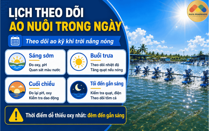 Lịch Theo Dõi Ao Nuôi Trong Ngày