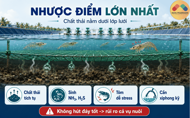 Nhược điểm lớn nhất: chất thải nằm dưới lớp lưới