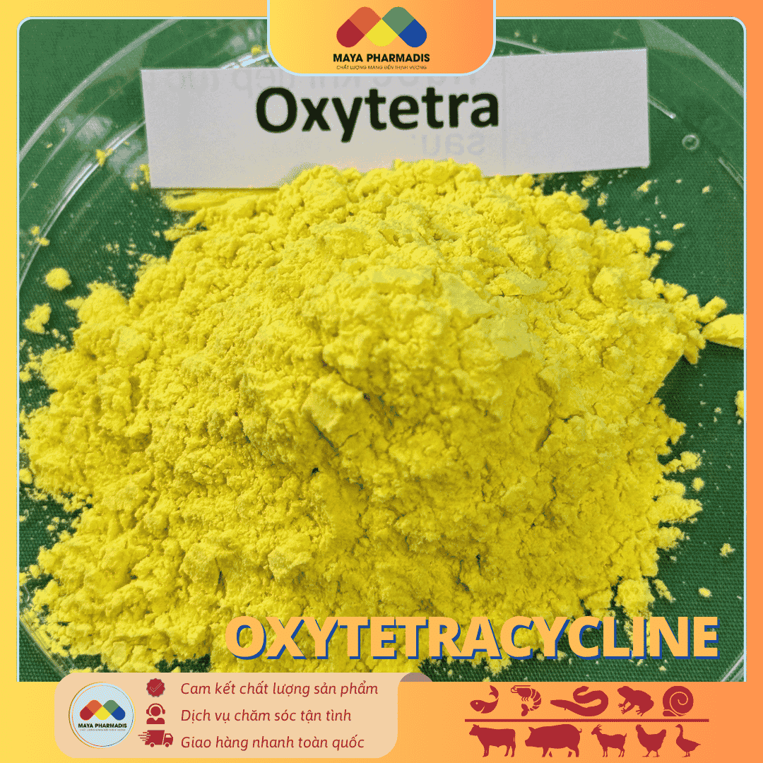 OXYTETRACYCLINE HCL NGUYÊN LIỆU – GIẢI PHÁP KIỂM SOÁT NHIỄM KHUẨN - Ảnh 2