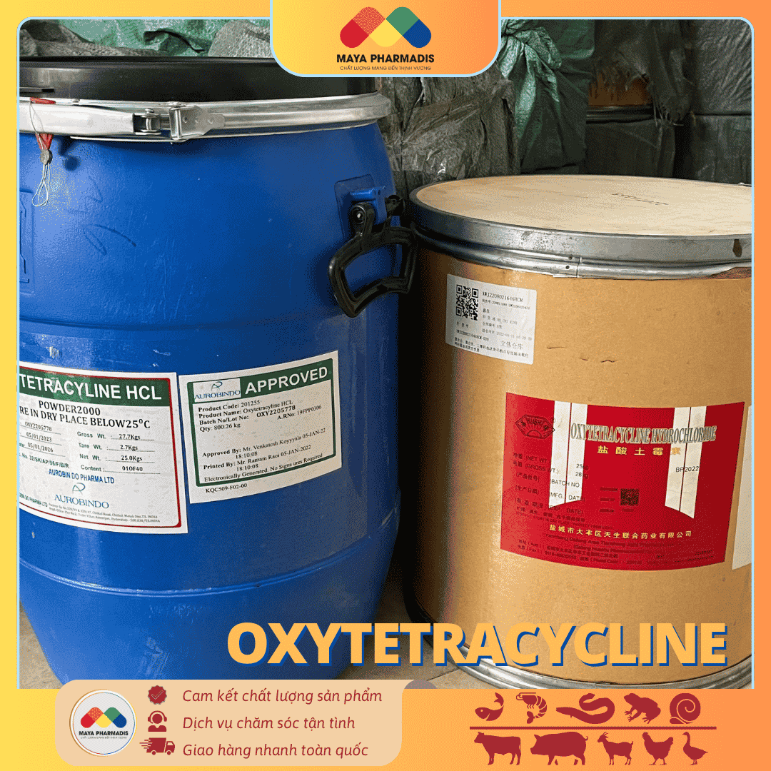 OXYTETRACYCLINE