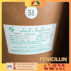 PENICILLIN