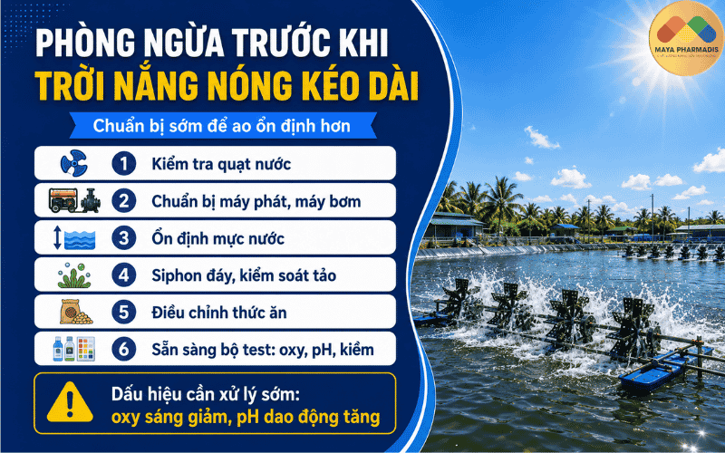 Phòng Ngừa Trước Khi Trời Nắng Nóng Kéo Dài