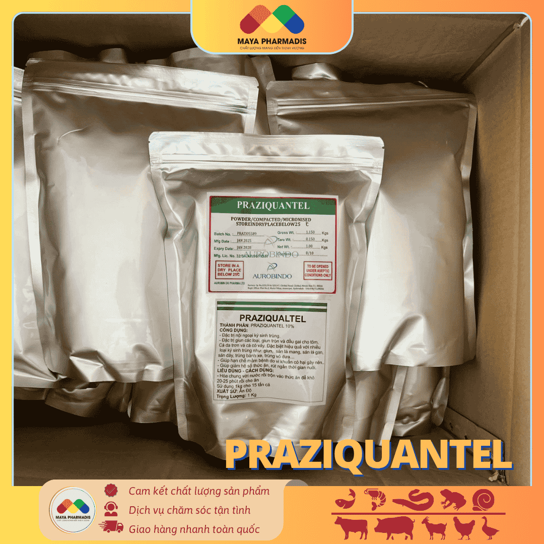 PRAZIQUANTEL – GIẢI PHÁP KIỂM SOÁT KÝ SINH TRÙNG - Ảnh 2