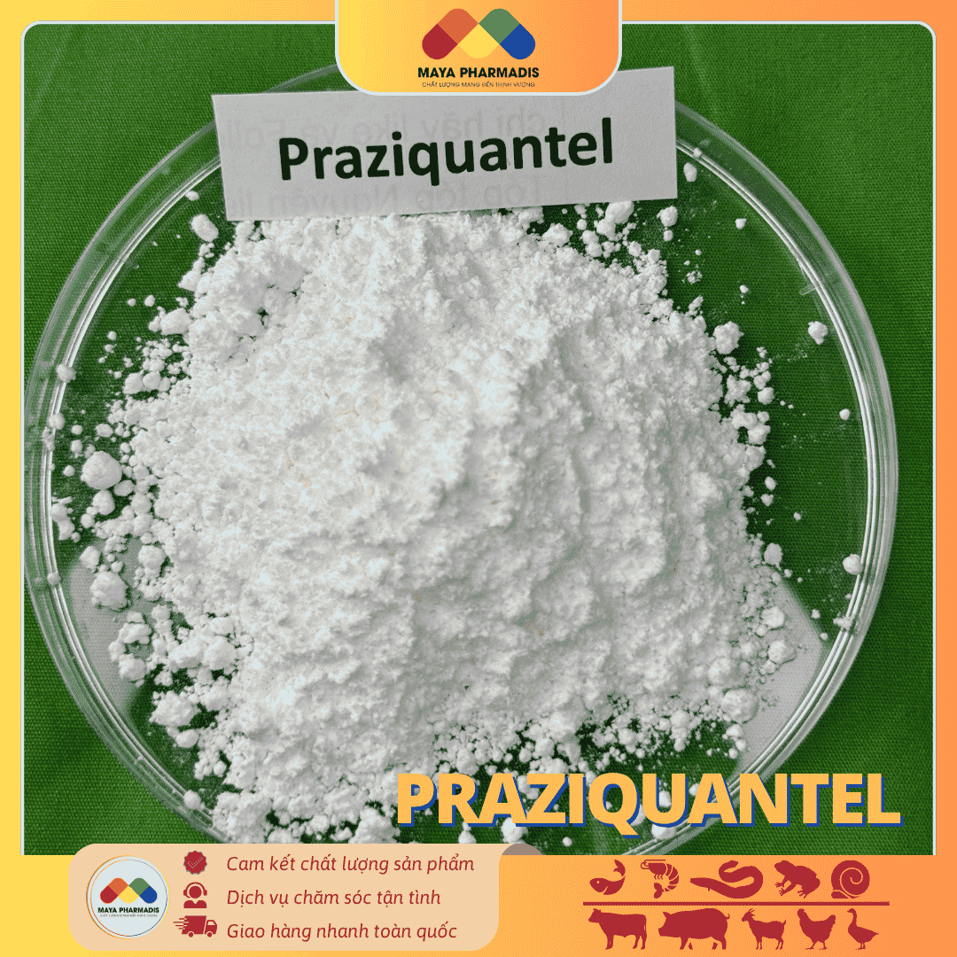 PRAZIQUANTEL NGUYÊN LIỆU – GIẢI PHÁP KIỂM SOÁT KÝ SINH TRÙNG - Ảnh 2