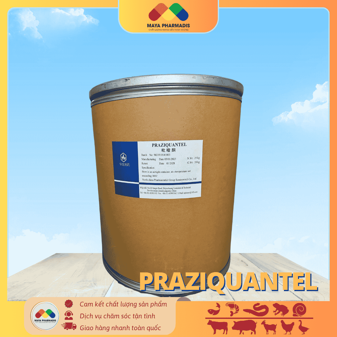 Praziquantel
