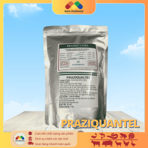 Praziquantel