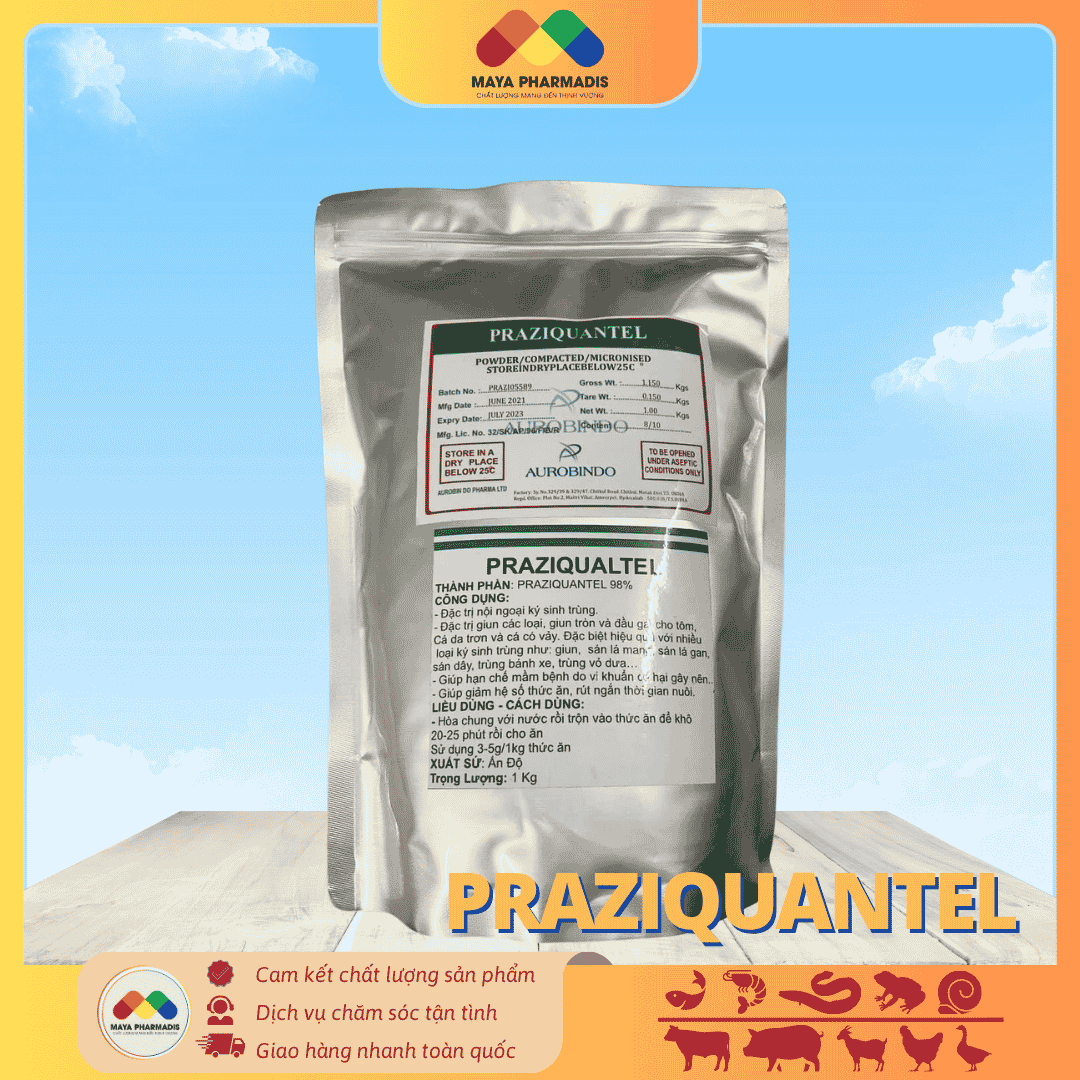 Praziquantel