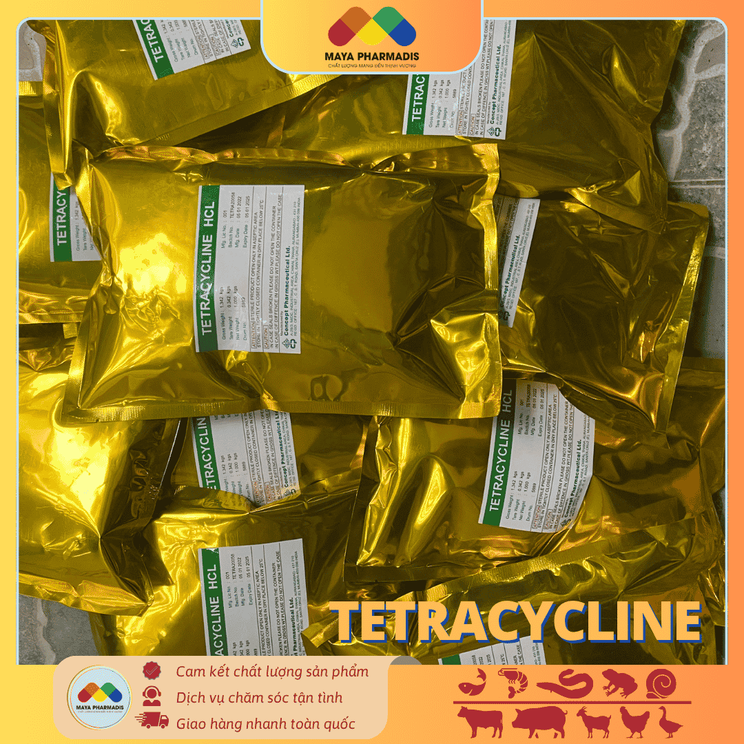 TETRACYCLINE - KHÁNG SINH KIỀM KHUẨN THẾ HỆ MỚI - Ảnh 2