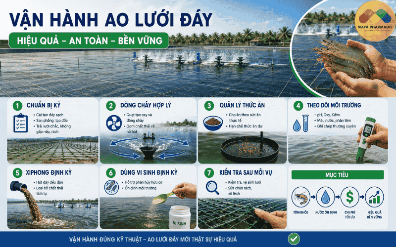 Cách vận hành ao lưới đáy hiệu quả