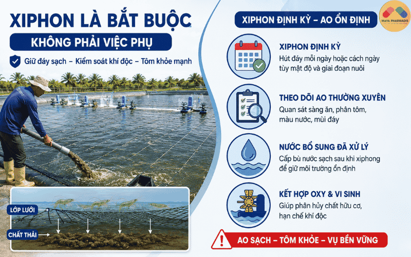 Xiphong là việc bắt buộc, không phải việc phụ