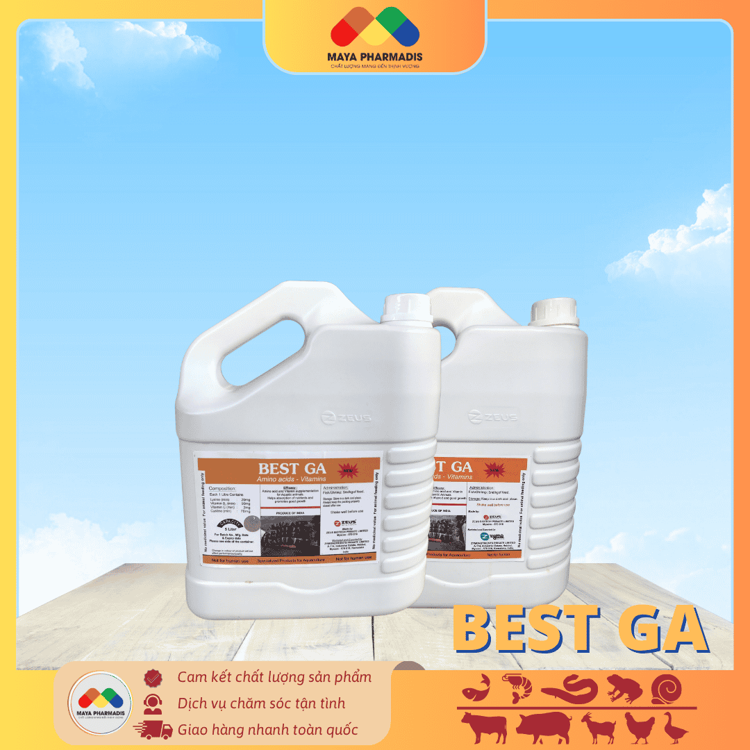 BEST GA