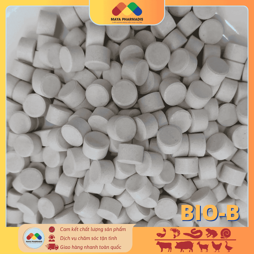 BIO-B – Men vi sinh dạng viên xử lý đáy - Ảnh 2