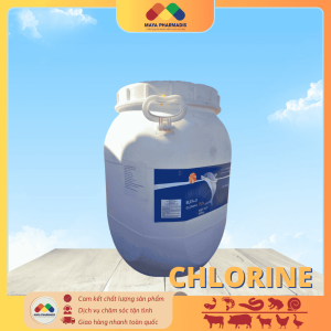 Chlorine Cà_ Heo 5