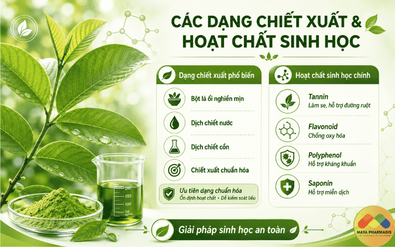 Các dạng chiết xuất phổ biến