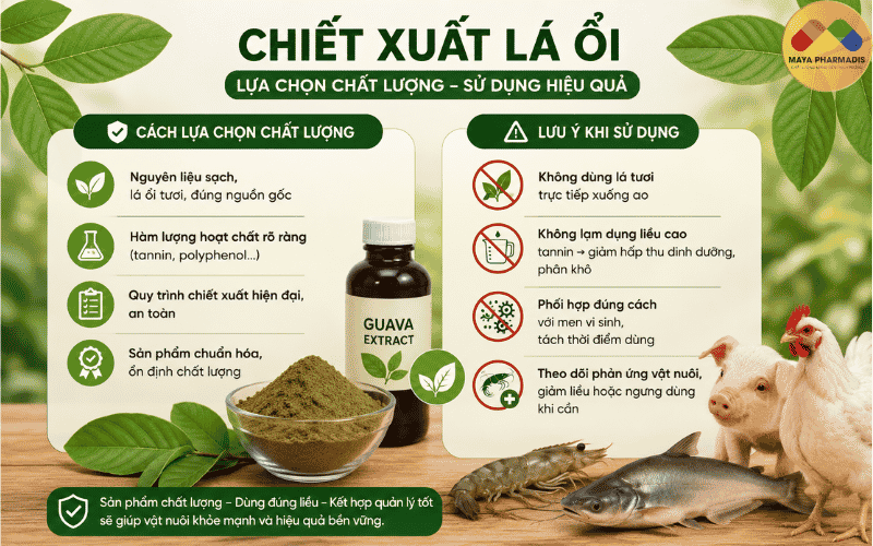 Cách lựa chọn chiết xuất chất lượng