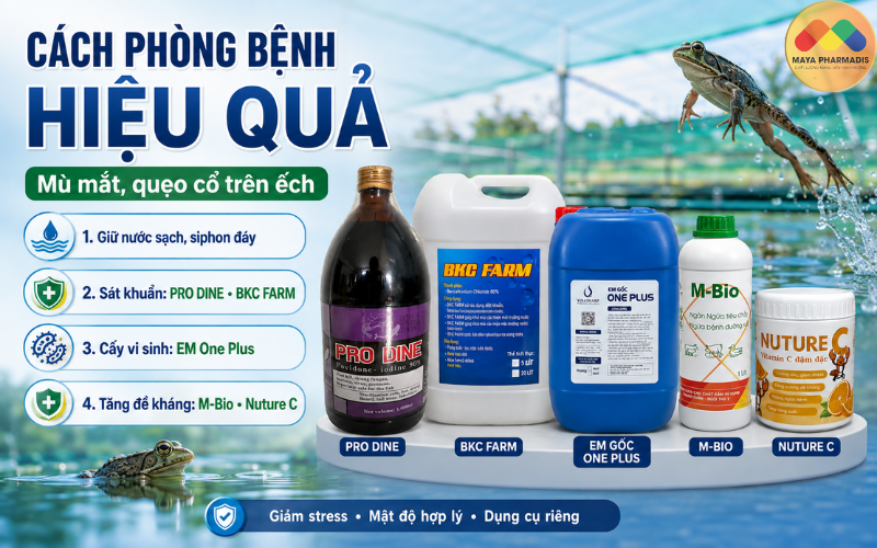 Cách phòng bệnh hiệu quả
