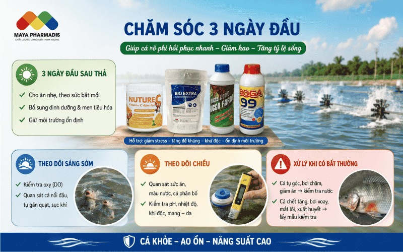 Chăm sóc ba ngày đầu sau thả
