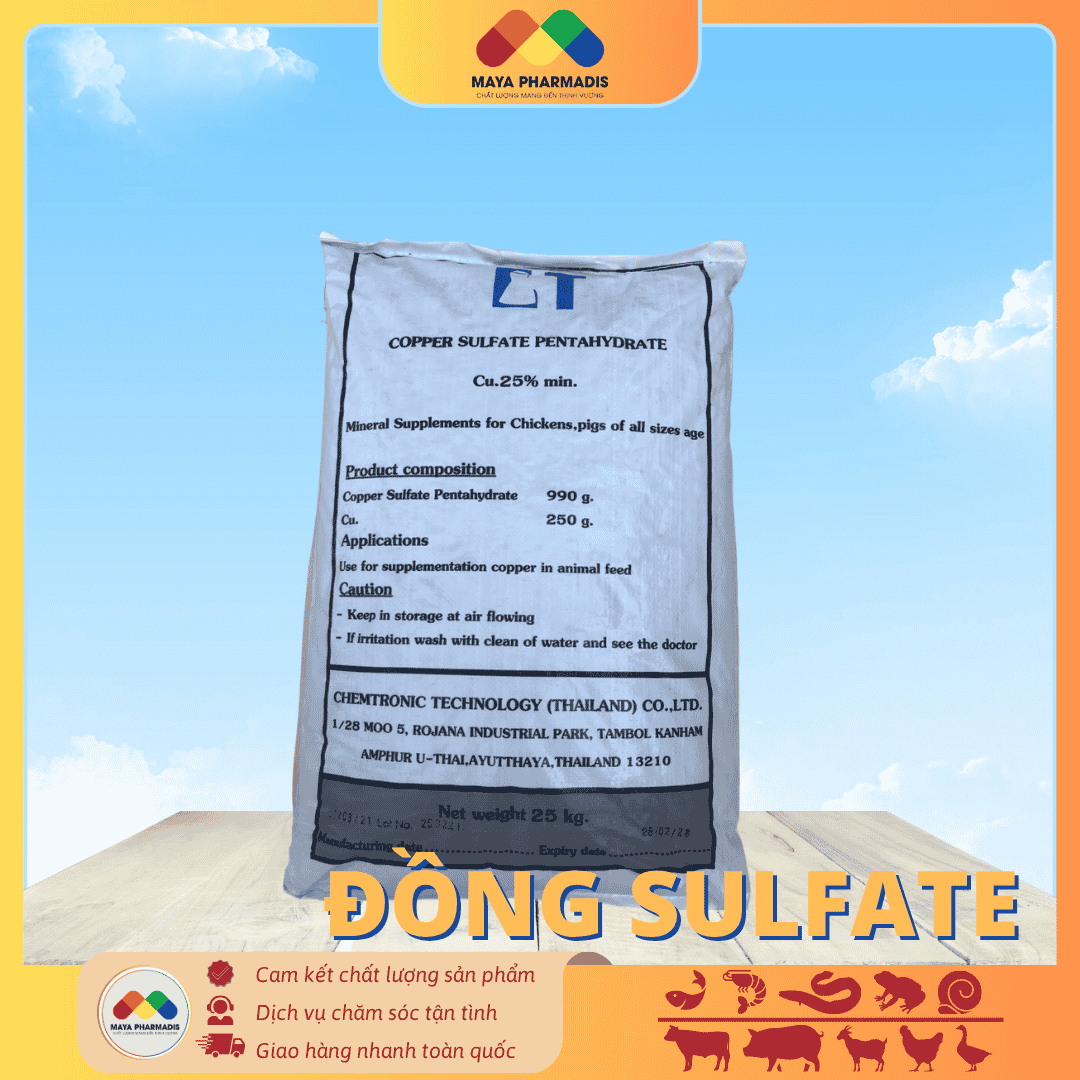 Đồng Sulphate – CuSO4 - Ảnh 2