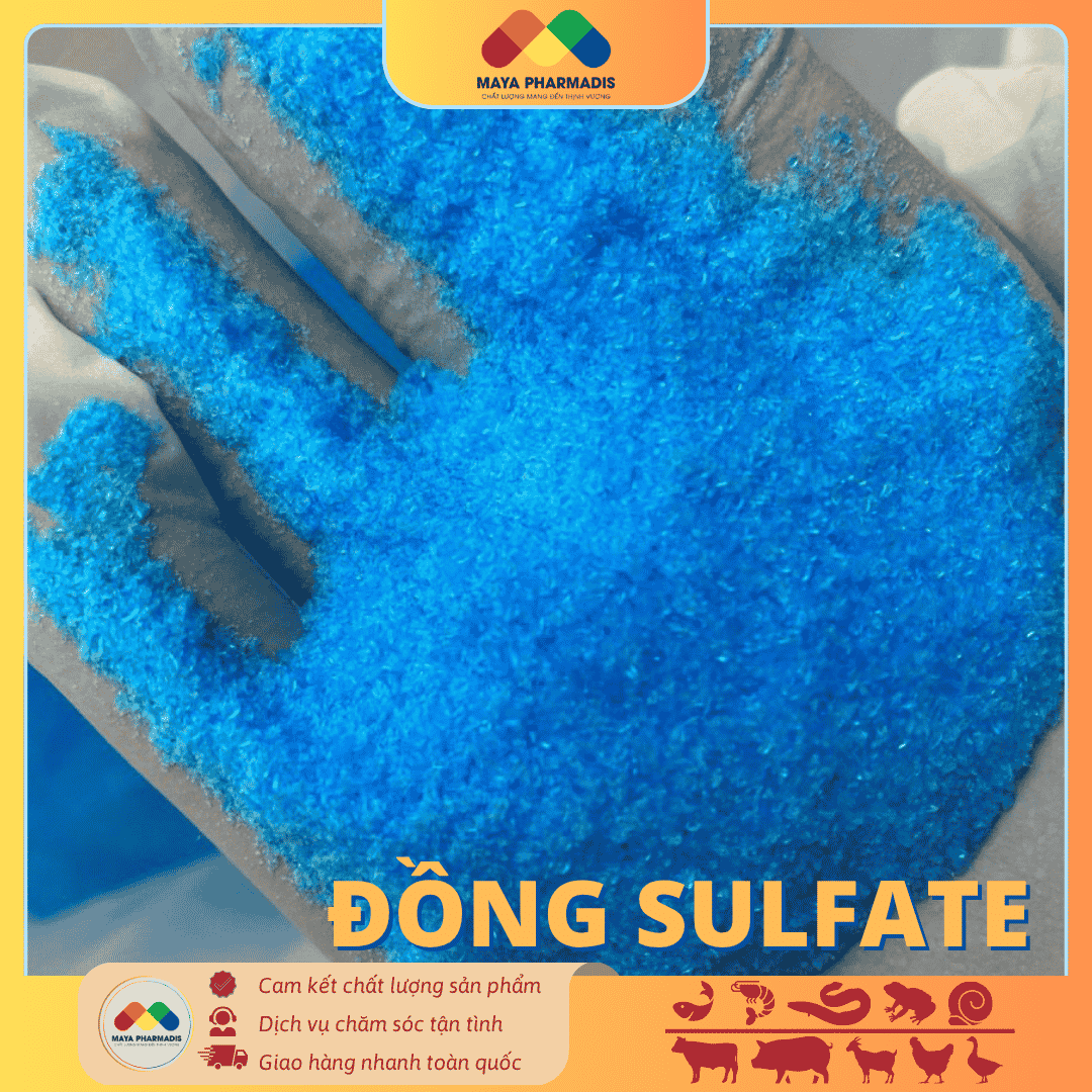 Đồng Sulphate – CuSO4 - Ảnh 3
