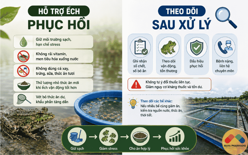 Hỗ trợ đàn ếch phục hồi