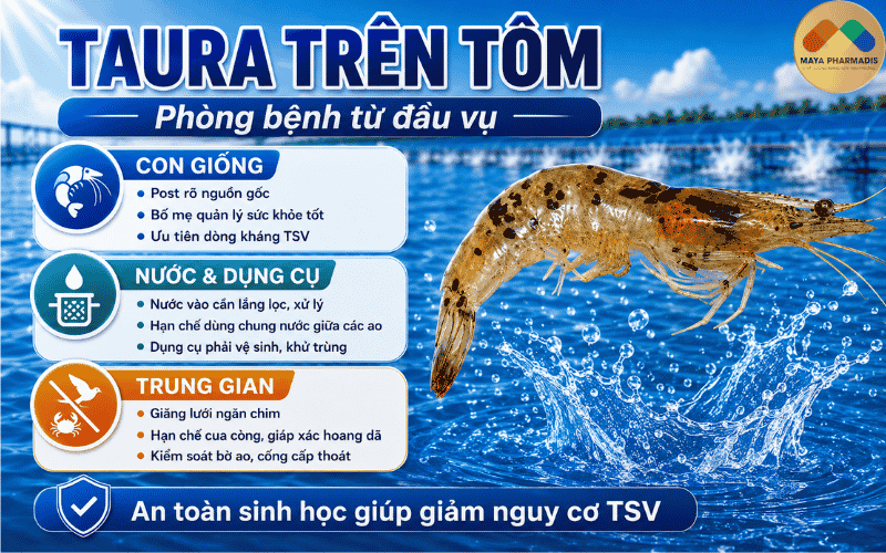 Chọn con giống để phòng bệnh