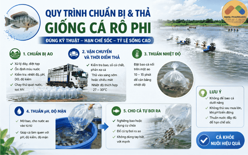 Chuẩn bị ao trước khi nhận cá