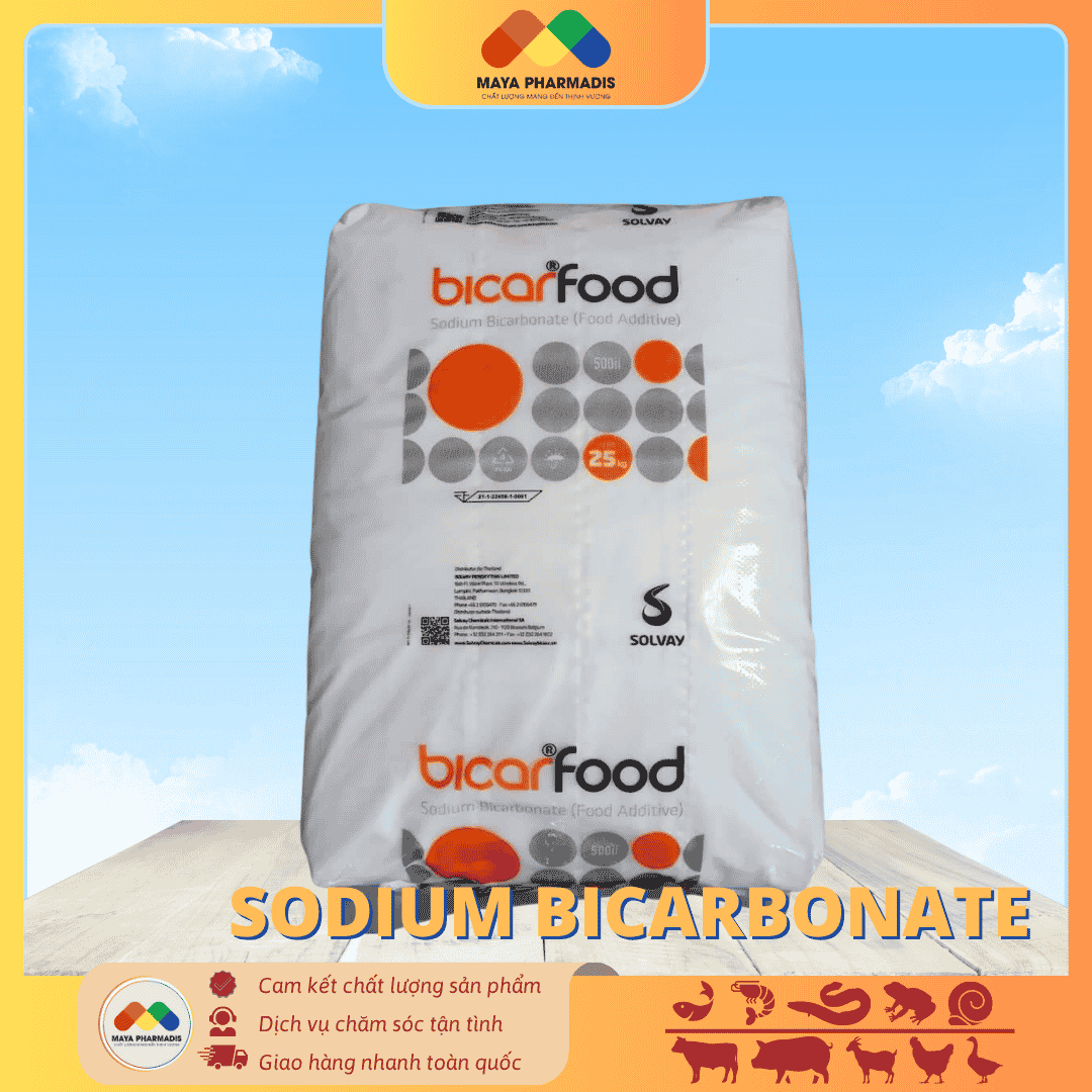 Sodium bicarbonate (Soda lạnh) - Ảnh 3